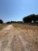 Terreno Edificabile in vendita a Siracusa - ognina - 02, 1