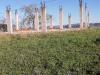 Terreno Edificabile in vendita nuovo a Falerone - 06, 06.FALERONE - ZONA ARTG. SANTA MARGHERITA- LOTTO E