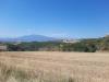 Terreno Agricolo in vendita a Offida - 05, 05 OFFIDA - TERRENO AGRICOLO CON ULIVETO E SEMINAT