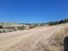 Terreno Agricolo in vendita a Offida - 06, 06 OFFIDA - TERRENO AGRICOLO CON ULIVETO E SEMINAT