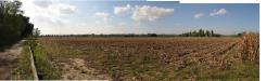 Terreno Agricolo in vendita a Falconara Marittima - 06, 06.JPG