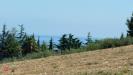 Terreno Edificabile in vendita a San Benedetto del Tronto - 02, terreno.jpg