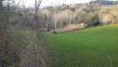 Terreno Agricolo in vendita a Mondavio - 04, 023 - 10.jpg