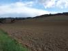 Terreno Agricolo in vendita a Carassai - 05, 04 CARASSAI - TERRENO IRRIGUO.jpg