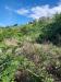 Rustico in vendita da ristrutturare a Carassai - 06, 05 RUDERE DA RISTRUTTURARE CON TERRENO CARASSAI.jp