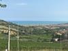Terreno Edificabile in vendita a Colonnella - 06, 02 TERRENO EDIFICABIE ED AGRICOLO VISTA MARE E MON