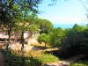 Casa indipendente in vendita da ristrutturare a Tortoreto - 06, 133253.jpg