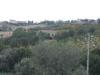 Terreno Agricolo in vendita da ristrutturare a Colonnella - 02, 10 COLONNELLA- Vigneto di 12 ettari con casale e l