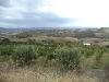 Terreno Agricolo in vendita da ristrutturare a Colonnella - 04, 05 COLONNELLA- Vigneto di 12 ettari con casale e l
