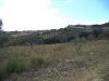 Terreno Agricolo in vendita da ristrutturare a Colonnella - 06, 03 COLONNELLA- Vigneto di 12 ettari con casale e l
