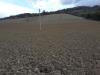 Terreno Agricolo in vendita a Carassai - 06, 05 CARASSAI - TERRENO AGRICOLO IRRIGUO.jpg