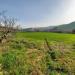 Casa indipendente in vendita con giardino a Ripatransone - 06, 01 RIPATRASONE-CASA INDIPENDENTE CON 12 ETTARI DI