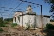 Terreno Agricolo in affitto da ristrutturare a Cutrofiano in contrada mandr� - 06, Immagine 003 (800x533).jpg