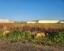 Terreno Industriale in vendita a Tarquinia - 05, DILEOIMMOBILIARE VENDE TERRENO EDIFICABILE INDUSTR