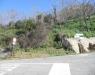 Terreno Edificabile in vendita da ristrutturare a Colonnella - 06, 13 COLONNELLA - TERRENO CON VISTA PANORAMICA..JPG