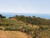 Casa indipendente in vendita nuovo a Monterubbiano - 03, 02 DI LEO IMMOBILIARE VENDE CASOLARE DA RISTRUTTU