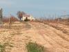 Terreno Agricolo in vendita a Mazara del Vallo - 02, 02.jpg