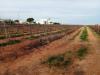 Terreno Agricolo in vendita a Mazara del Vallo - 06, 8.jpg