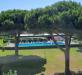 Appartamento monolocale in vendita a Bibbona - marina di - 06