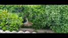 Villa in vendita con giardino a Lecce - 06, WhatsApp Image 2025-05-14 at 17.40.49.jpeg