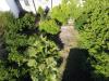 Appartamento in vendita a Nard� - 06, dji_fly_20260520_161958_782_1779286836287_photo_op