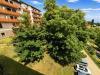 Appartamento bilocale in vendita a Tonezza del Cimone in contr campana 19 - 07, Foto 7