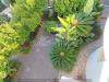 Villa in vendita con giardino a Alassio - 03