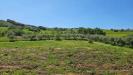 Terreno Agricolo in vendita a Castel Frentano in via ciommi - 03, 5d23d005-20d1-4ea1-9e79-2accbbe44eac.jpg