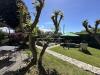 Villa in vendita con giardino a Ameglia - 04
