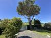 Villa in vendita con giardino a Ameglia - 05