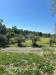 Villa in vendita con giardino a Fosdinovo - caniparola - 04
