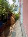 Casa indipendente in vendita con giardino a Carrara - marasio - 03