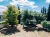 Villa in vendita con giardino a Nard� in via porto selvaggio - 04, 1 - Villa S. Caterina - GRIMALDI