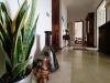 Appartamento in affitto con box a Milano in via gian carlo passeroni 6 - 06, Foto 6