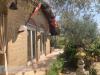 Villa in affitto con giardino a Lercara Friddi in contrada passo santuzzo - contrada passo santuzzo - 06, CDC IMMOBILIARE