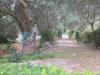 Villa in vendita con giardino a Lercara Friddi in contrada rinella - contrada rinella - 04