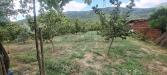 Terreno Agricolo in vendita a Mercato San Severino - pandola - 02, Immagine WhatsApp 2023-11-10 ore 11.45.19_43c64ec5