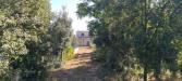 Villa in vendita da ristrutturare a Martina Franca in sp49 108 - 06, 20231012_103425.jpg