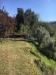 Casa indipendente in vendita con giardino a Carrara in via ghiacciaia 11bis - 05, WhatsApp Image 2024-02-07 at 15.35.25 (5).jpeg