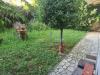 Villa in vendita con giardino a Carrara in viale xx settembre 301 - marina di - 04, 1288863-lwx55u.jpg