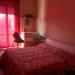 Casa indipendente in vendita con giardino a Massa in via trento 89 - 05, WhatsApp Image 2022-11-28 at 11.39.28.jpeg