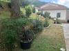 Villa in vendita con giardino a Massa in via piagola 24 - altagnana - 04, IMG_2579.jpg