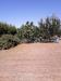 Terreno Agricolo in vendita a Massa in via romana 117 - 05, WhatsApp Image 2023-02-22 at 07.50.33.jpeg