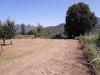 Terreno Agricolo in vendita a Massa in via romana 117 - 06, WhatsApp Image 2023-02-22 at 07.50.58.jpeg
