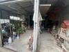 Capannone in vendita con giardino a Pietrasanta in via torretta 37 - 03, WhatsApp Image 2025-07-08 at 15.39.05 (2).jpeg
