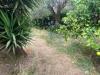 Terreno Agricolo in vendita a Massa in via san giuseppe vecchio 37 - 02, WhatsApp Image 2025-07-22 at 12.41.51 (5).jpeg