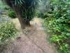 Terreno Agricolo in vendita a Massa in via san giuseppe vecchio 37 - 03, WhatsApp Image 2025-07-22 at 12.41.51 (3).jpeg