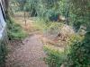 Terreno Agricolo in vendita a Massa in via san giuseppe vecchio 37 - 05, WhatsApp Image 2025-07-22 at 12.41.50.jpeg