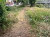 Terreno Agricolo in vendita a Massa in via san giuseppe vecchio 37 - 06, WhatsApp Image 2025-07-22 at 12.41.51 (1).jpeg