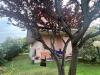 Casa indipendente in vendita con giardino a Massa in via pontremoli 7 - marina di - 05, IMG_2045.jpg